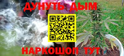 гашик Нальчик
