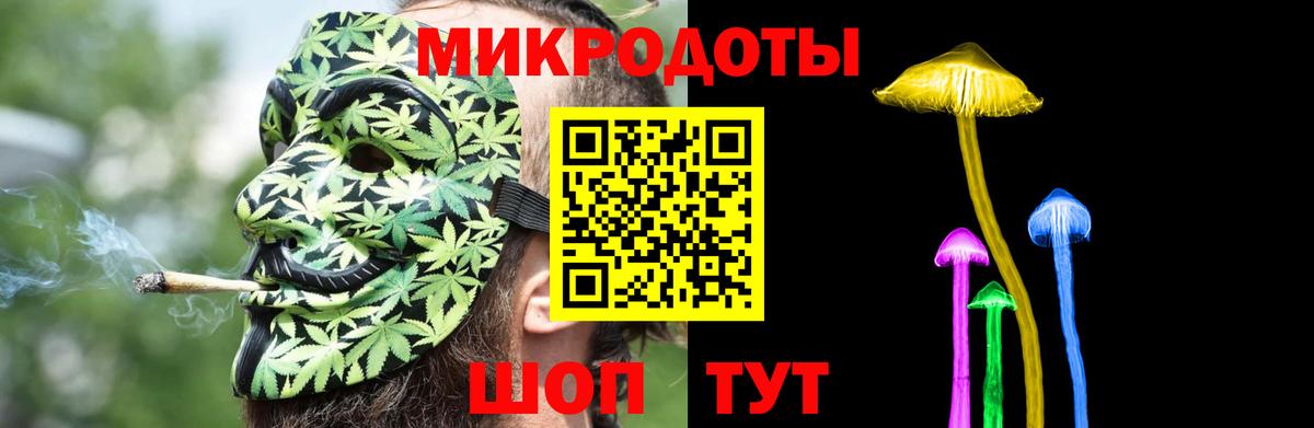 Галлюциногенные грибы Psilocybe Анжеро-Судженск