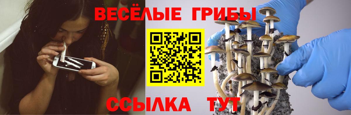 Анжеро-Судженск  Галлюциногенные грибы GOLDEN TEACHER  Вход с VPN  Псилоцибиновые грибы ЛСД 